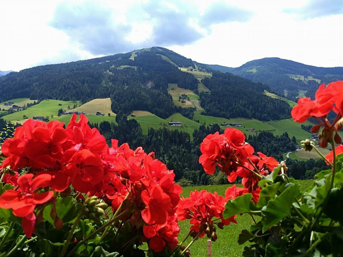 Aussermooserhof Alpbach Esterno foto